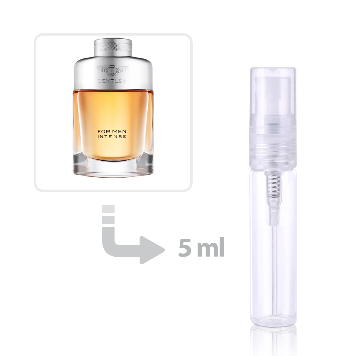 Buy Original Men's Perfume with Oriental Fragrance from Top Brands  Worldwide + Price List and Specifications - Riah