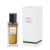 Babycat Eau de Parfum Women and Men Yves Saint Laurent - YSL