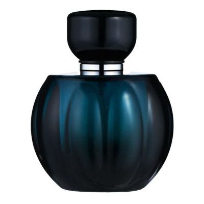 Passion De Night Eau de Parfum For Women Fragrance World