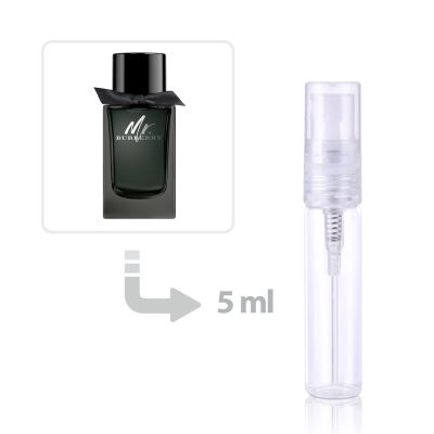 Mr Burberry Eau de Parfum For Men