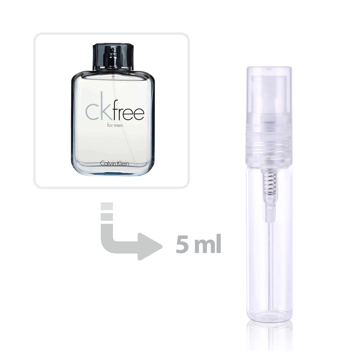 Calvin Klein Free For Men price in Dubai UAE Compare Prices