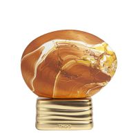 Hidden Shades Eau de Parfum Women and Men The House of Oud