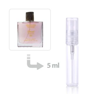 Smart 250 Fantasy Eau de Parfum for Women