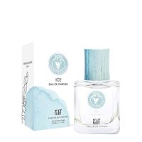 Ice Boreale Eau de Parfum Women and Men Fiilit