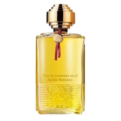 Tras la tormenta en el Jardin Botanico Eau de Parfume for Women and Men