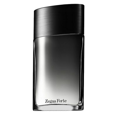 Zegna Forte Eau de Toilette for Men Ermenegildo Zegna