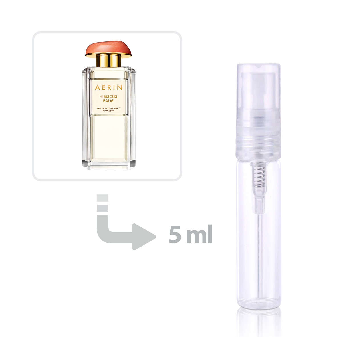 Hibiscus Palm Eau de Parfum Women Aerin Lauder perfume fragrance