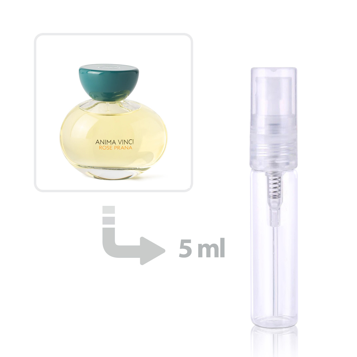 ANIMA VINCI ROSE PRANA EDP 100ml 【公式通販】