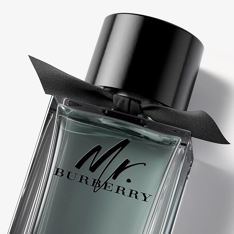 Mr burberry eau de toilette vs eau de parfum 2025
