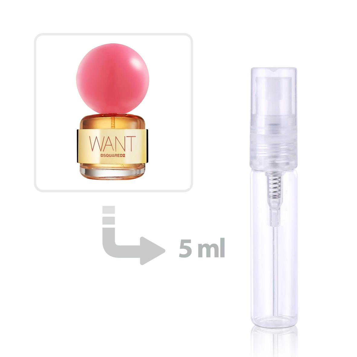 Want Pink Ginger Eau de Parfum For Women Dsquared2 perfume fragrance Riah