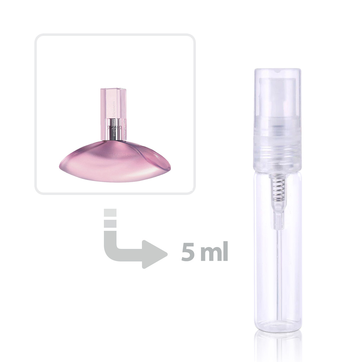 Euphoria blossom 100 ml top
