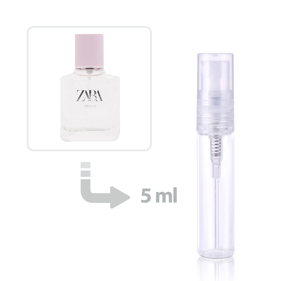 Zara Orchid Eau de Parfum for Women perfume fragrance Riah