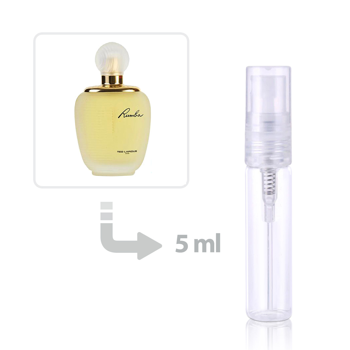 Rumba Perfume Lapidus 100ml Original Rumba Eau De Toilette For