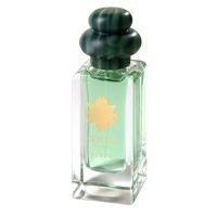 Verde Eau de Parfum Women and Men Venti 4