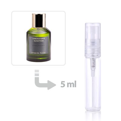 عطر أرانشيا روسا للنساء والرجال من لابوراتوريو أولفاتيفو