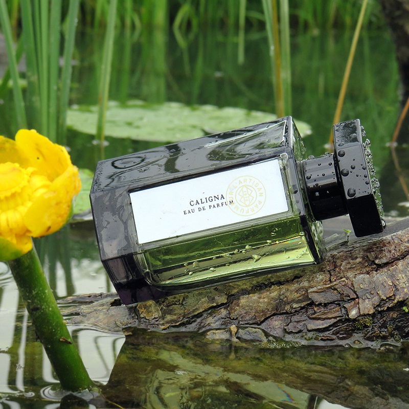 L'Artisan Caligna 香水 100ml Amazon.com : L'Artisan Parfumeur Caligna Eau de Parfum, 3.4