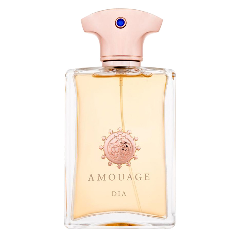 Dia pour Homme Eau de Parfum For Men Amouage perfume fragrance