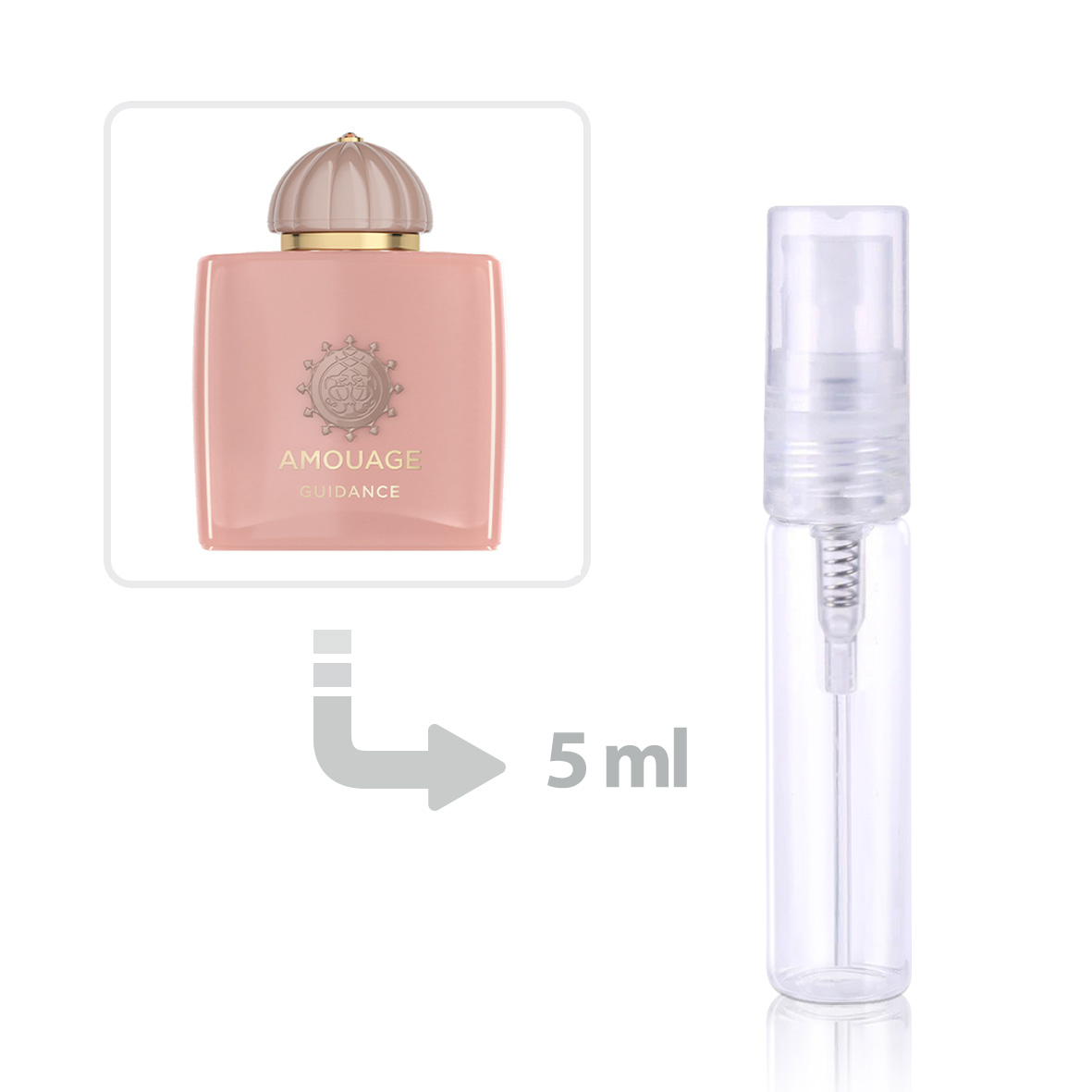 Specifications price and purchase of perfume Guidance Eau de