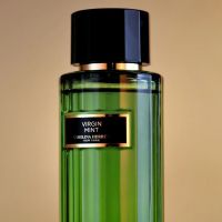 Virgin Mint Eau de Toilette for Women and Men