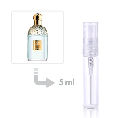 عطر أكوا أليجوريا تيازورا العطور للنساء والرجال