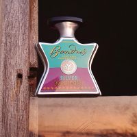 Andy Warhol Silver Factory Eau de Parfum Women and Men Bond No 9