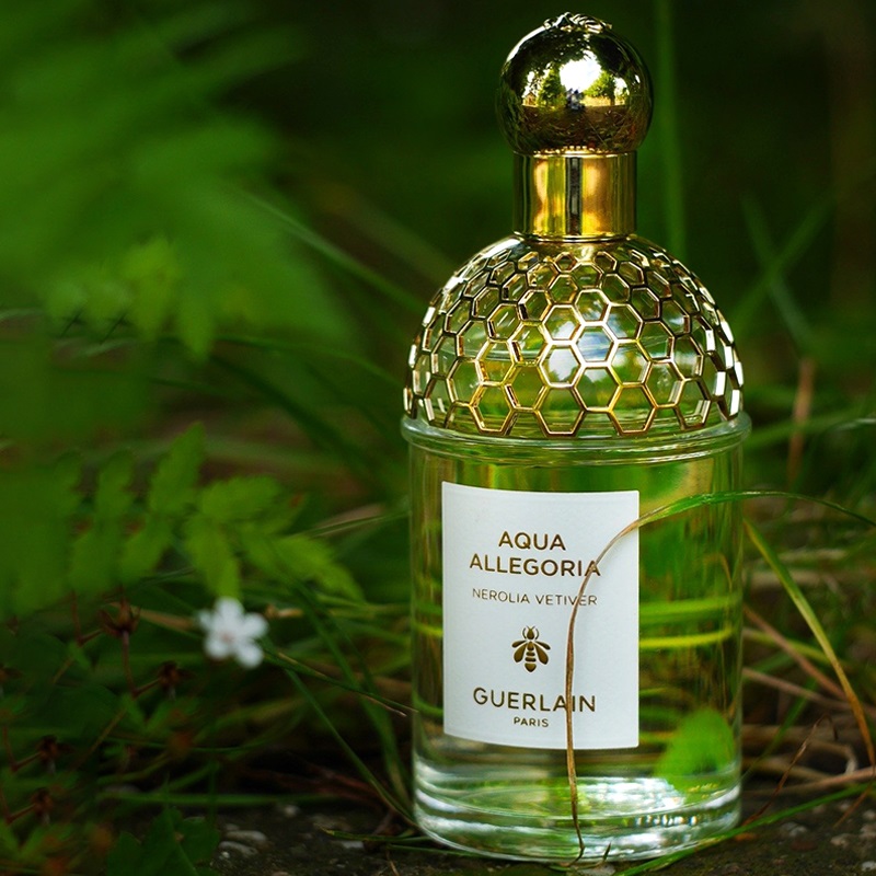 Parfum Aqua Allegoria Nerolia Vetiver Aqua Guerlain Parfum
