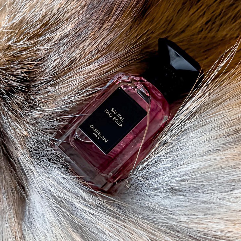 Santal Pao Rosa Eau de Parfum for Women and Men Guerlain perfume