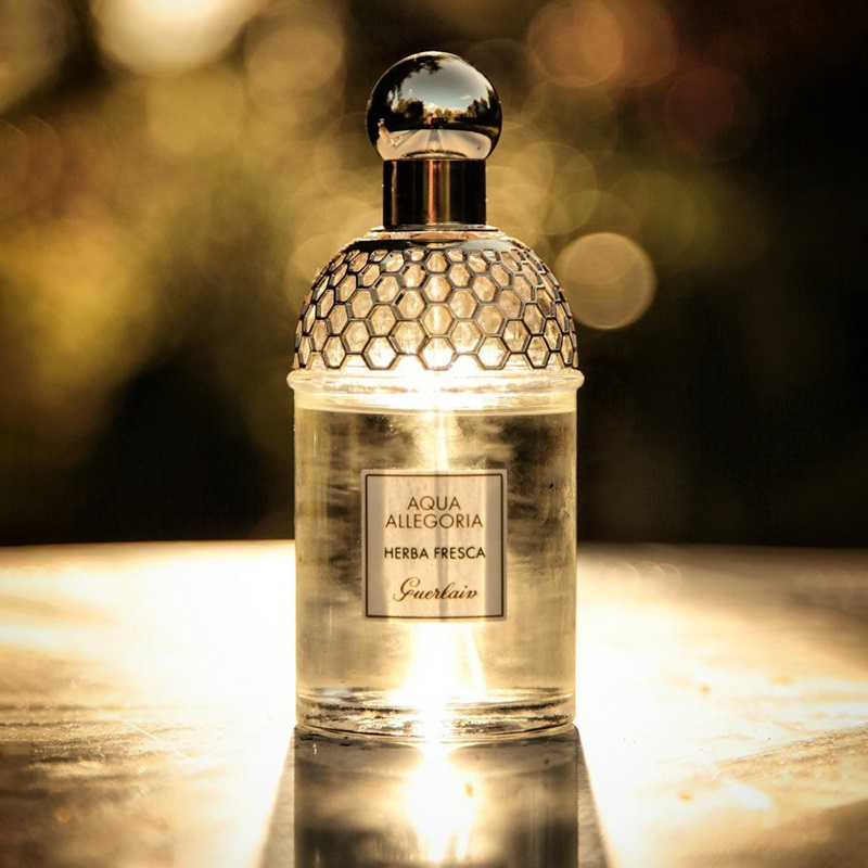 Aqua Allegoria Herba Fresca Eau de Toilette for Women and Men