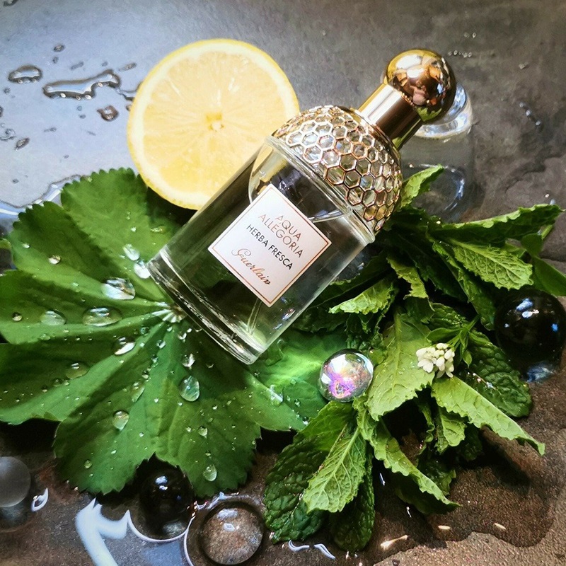 Allegoria Rosa Verde Aqua Allegoria Guerlain Fragrantica Aqua