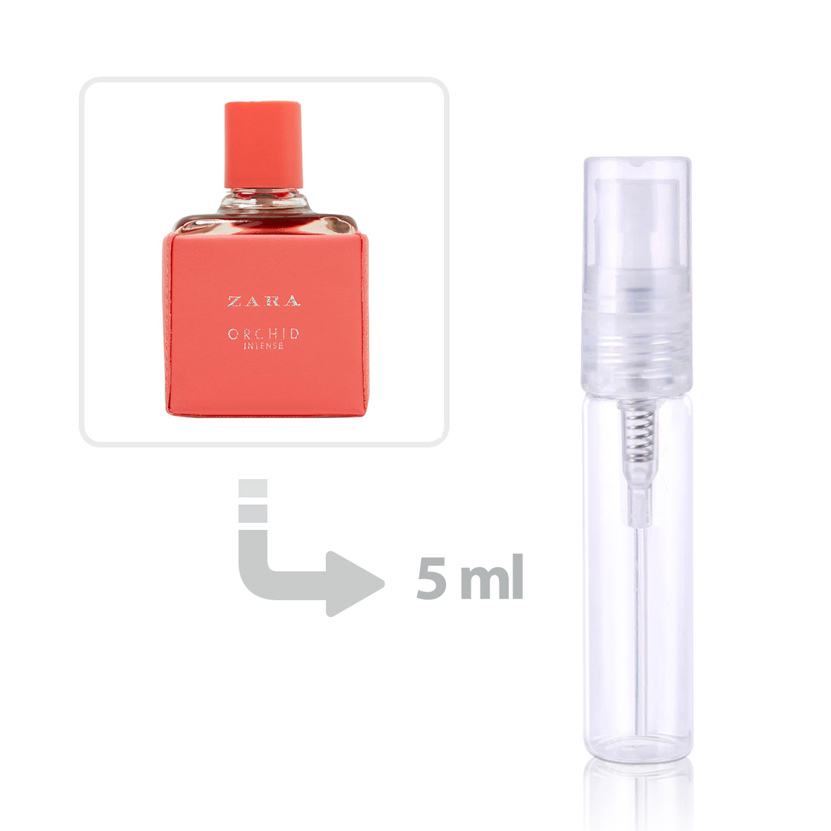 Ubuy Zara Orchid Intense Perfume Zara White Orchid EDP 100ml For