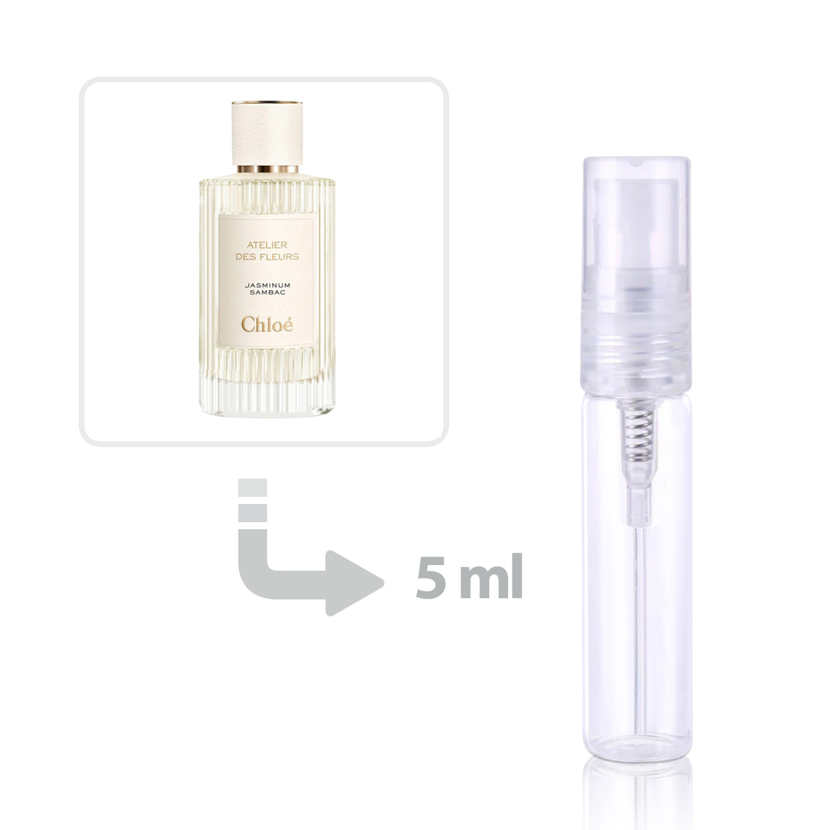 Jasminum Sambac Eau de Parfum for Women perfume & fragrance - Riah