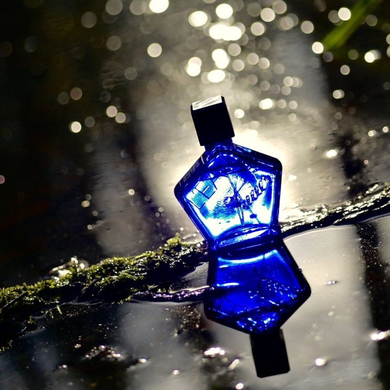 L Eau Eau de Parfum for Women and Men perfume & fragrance - Riah