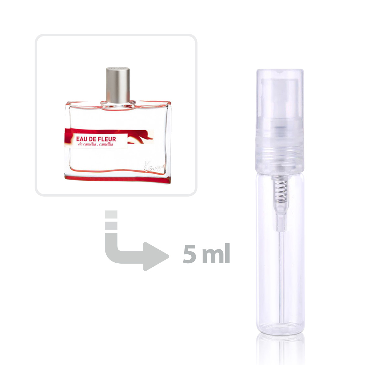 Camellia perfume buy camellia scent fragrance cologne