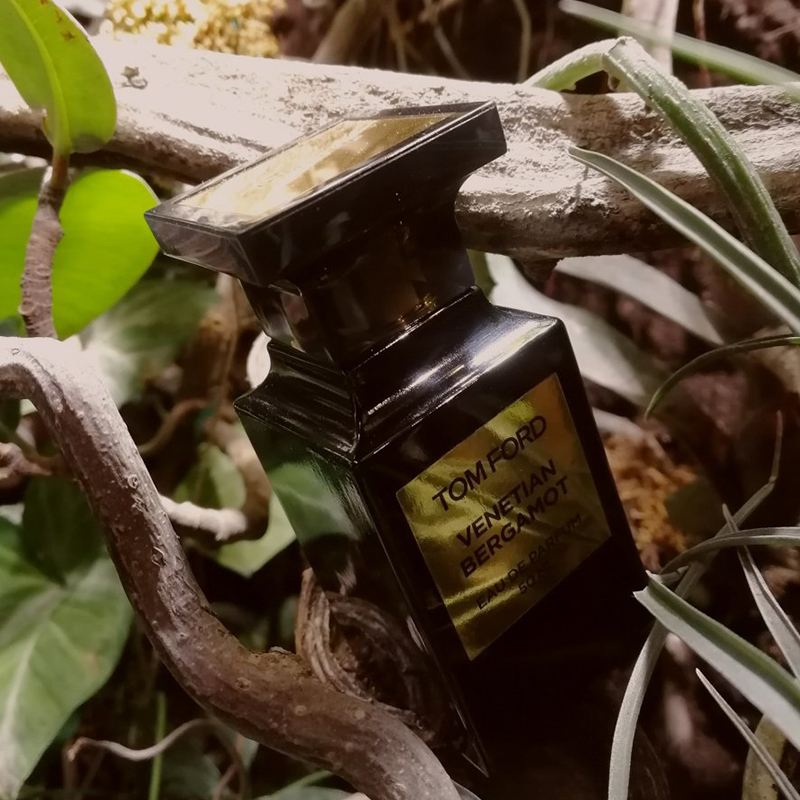 Venetian Bergamot Eau de Parfum for Women and Men Tom Ford perfume