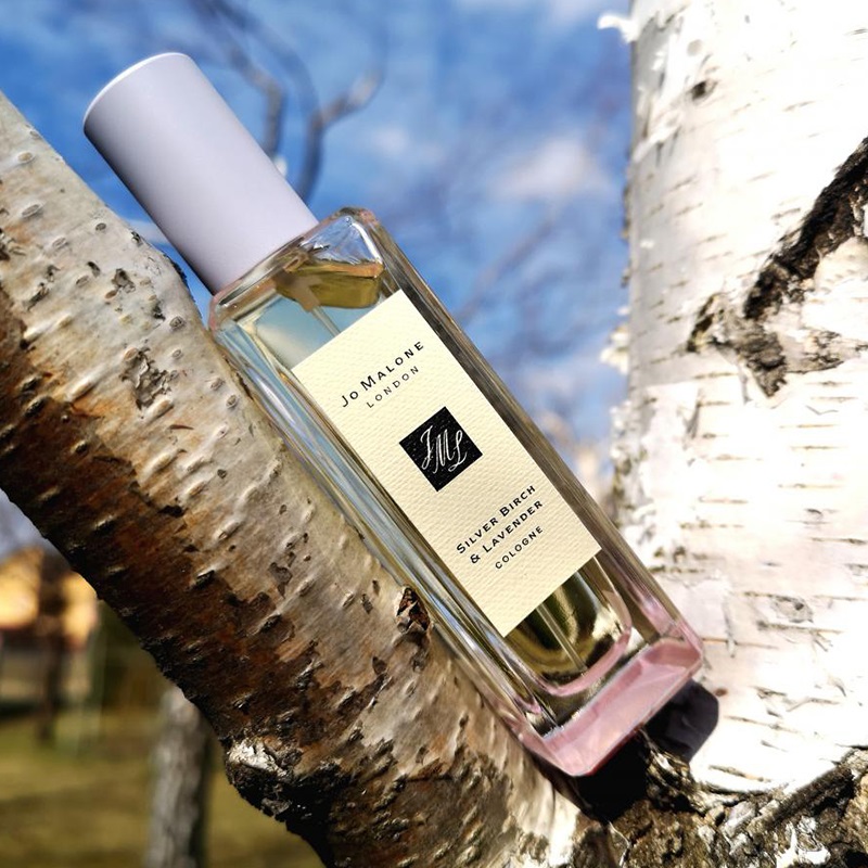Silver Birch & Lavender Eau de Cologne for Women and Men perfume