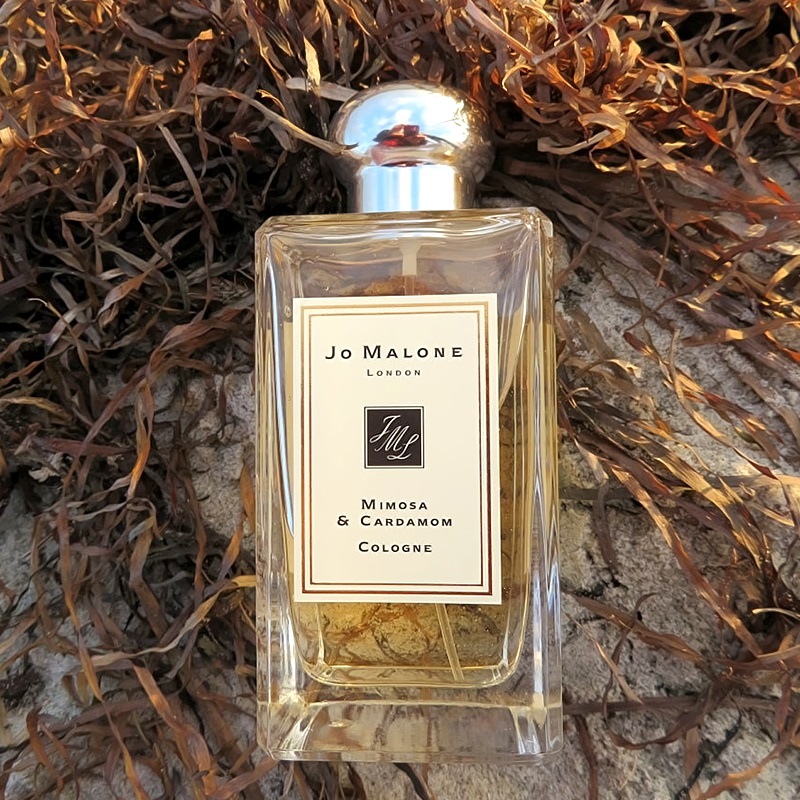 Cardamom Cologne Jo Malone Parfum Mimosa And Cardamom Malone - Main Image