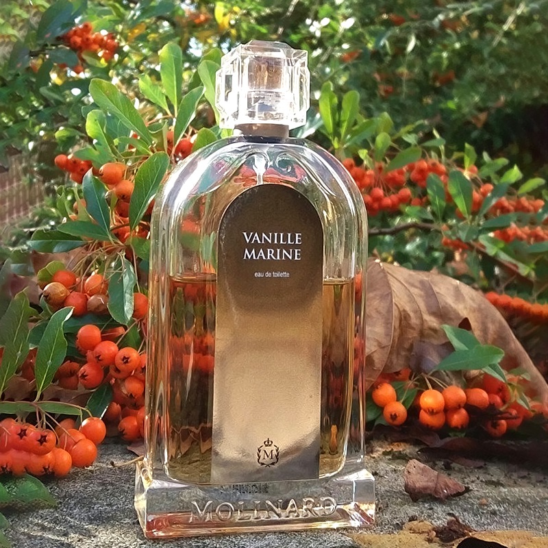 MOLINARD モリナール バニラマリン オードトワレ 100ml 2025年最新】モリナール バニラマリンの人気アイテム - メルカリ
