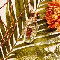 Torino Eau de Parfum for Women and Men Xerjoff