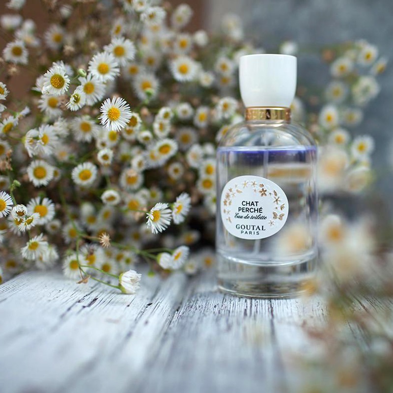 Chat Perche Eau de Toilette for Women and Men Annick Goutal