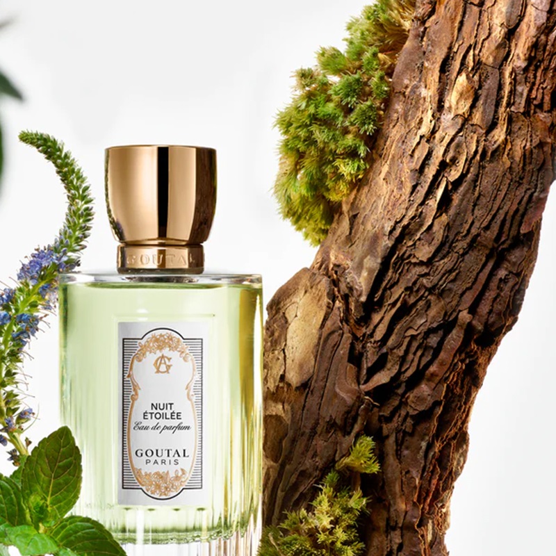 Nuit Etoilee Eau de Parfum for Women and Men Annick Goutal perfume
