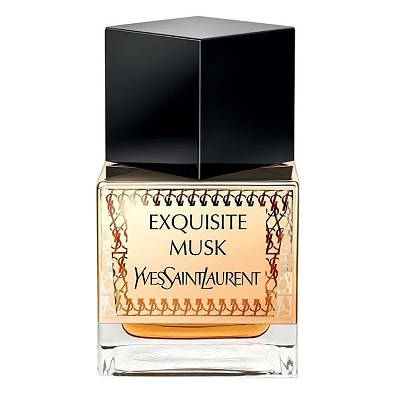 Ysl musk top