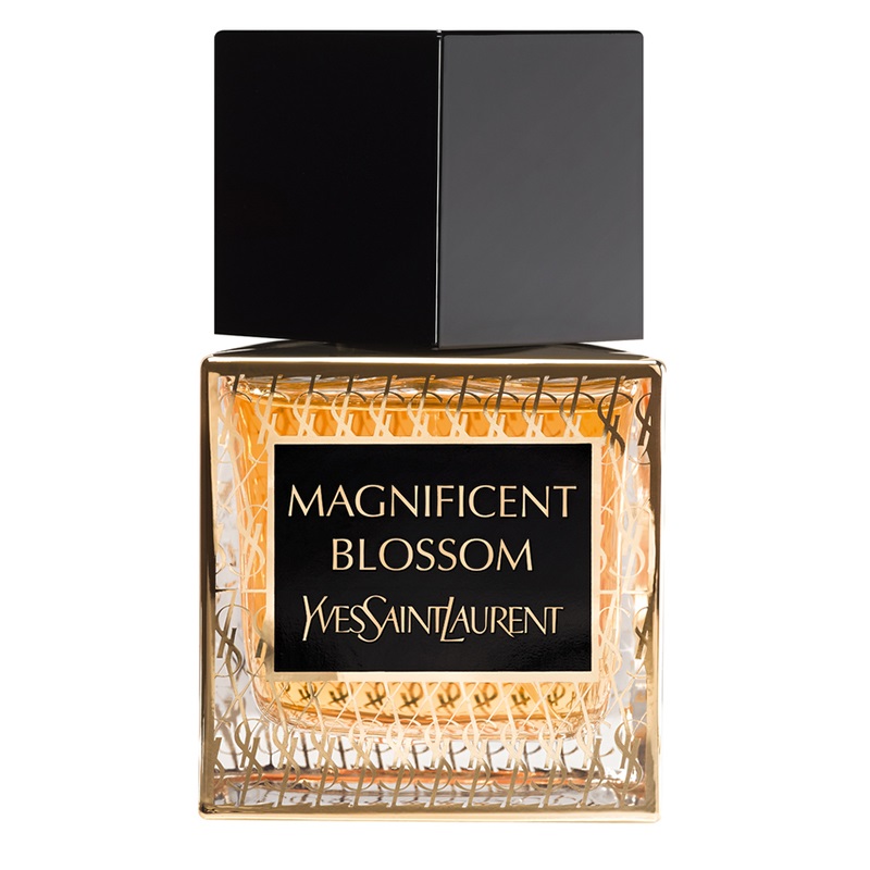 Magnificent yves saint laurent 2025