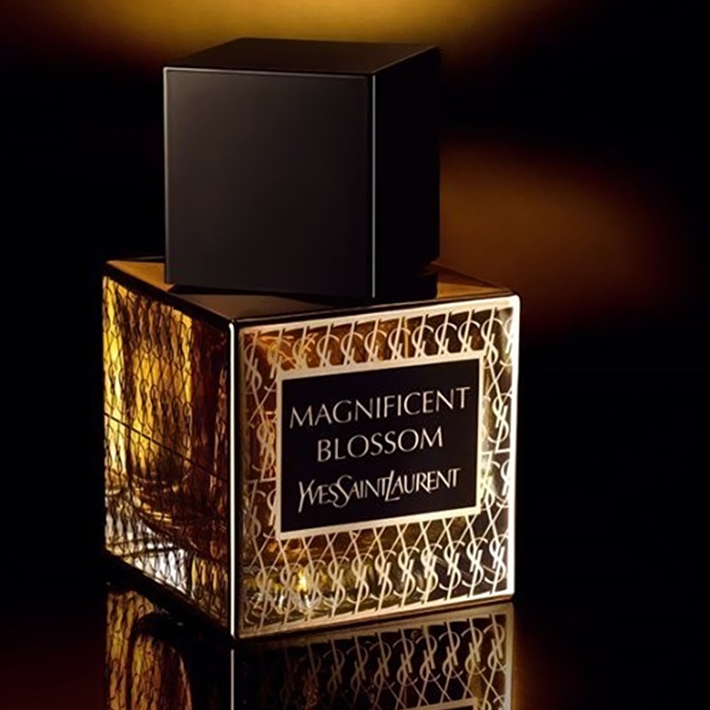 Ysl oriental collection cheap