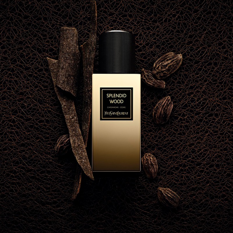 Splendid wood ysl 2025