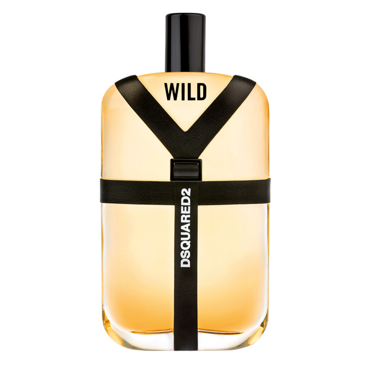 wild Eau de Toilette For Men Dsquared2 perfume fragrance Riah