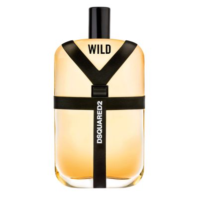 عطر وايلد إي دي تواليت للرجال من دي سكوارد تو