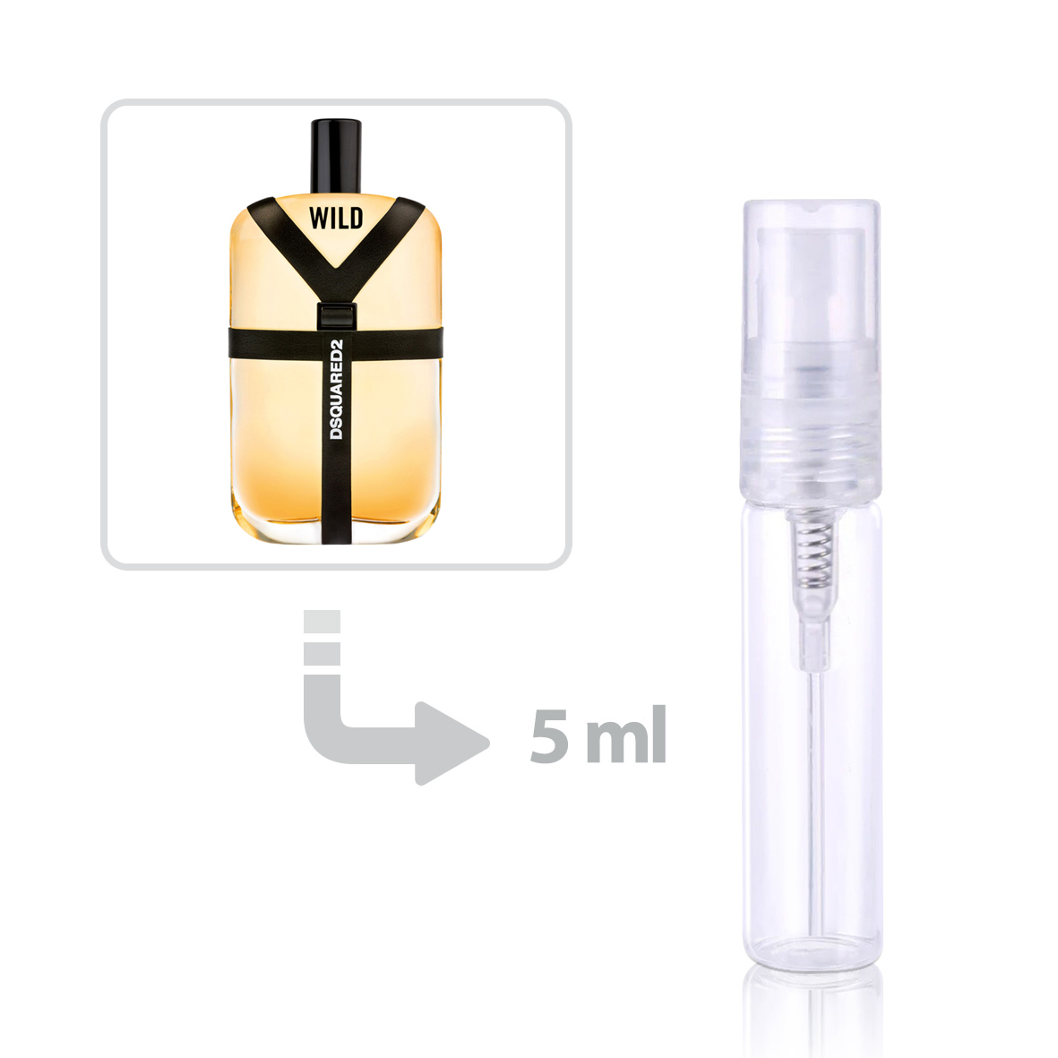 wild Eau de Toilette For Men Dsquared2 perfume fragrance Riah