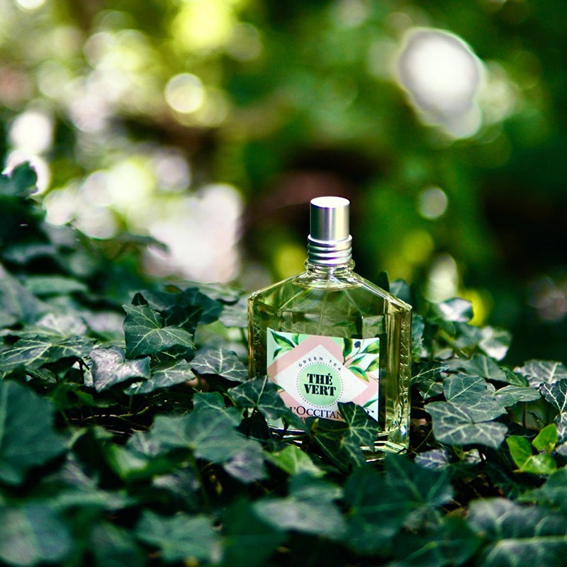 The Vert Eau de Toilette for Women and Men L Occitane en