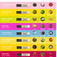 sample giftset floral street fragrance discovery set for Women and Men 8 pcs Floral Street