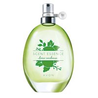 Scent Essence Lime Verbena Eau de Toilette for Women